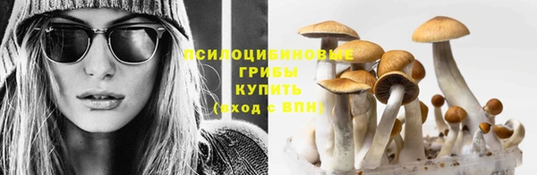 стаф Баксан