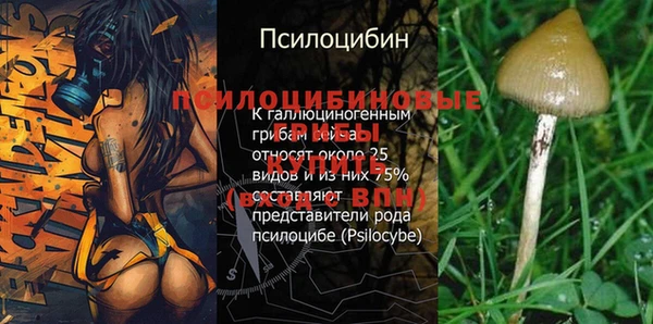 ALPHA PVP Балабаново
