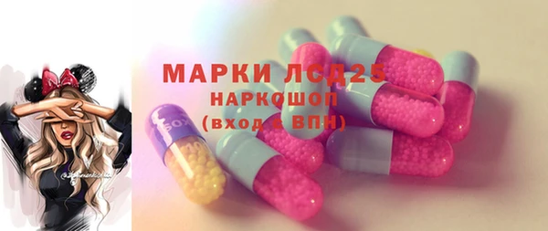 стаф Баксан