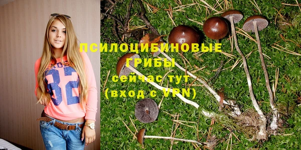 стаф Баксан
