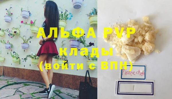 стаф Баксан