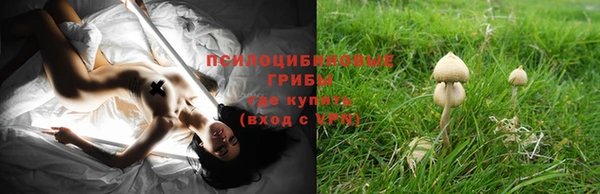 стаф Баксан